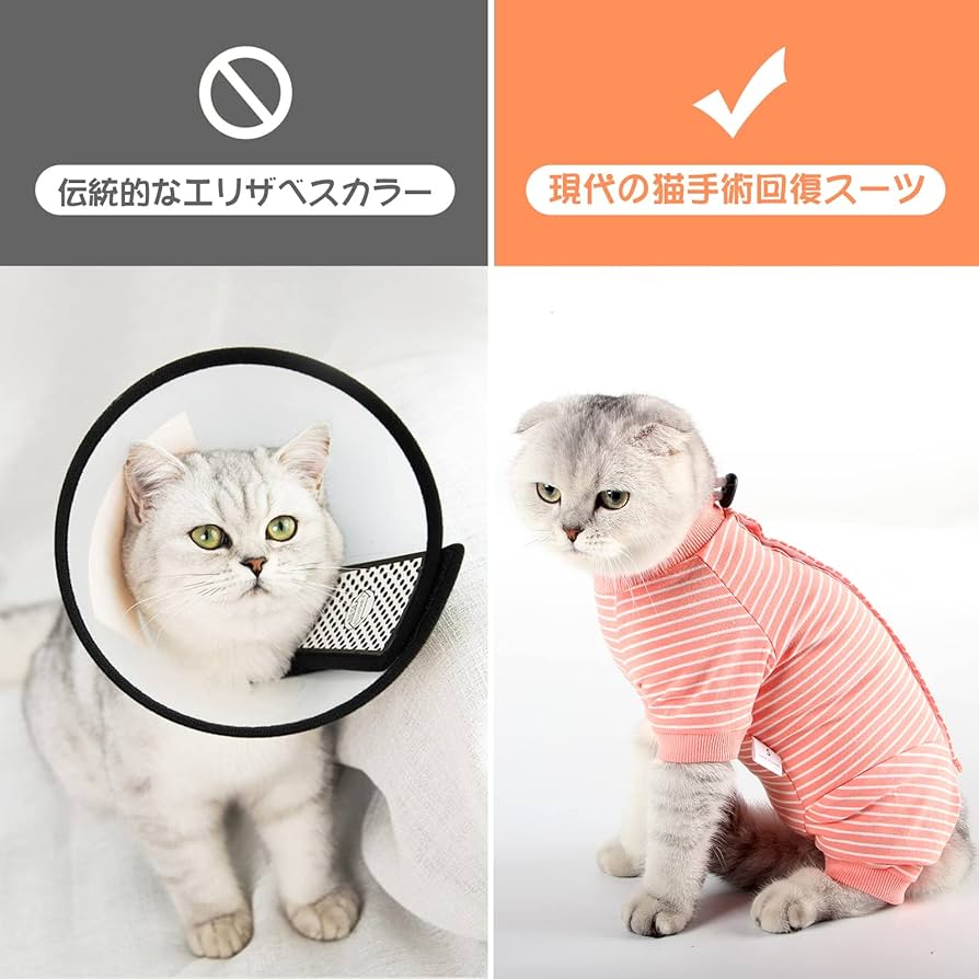 Amazon | DOTONER猫 服 男女兼用猫 術後服 猫用ペット術後服